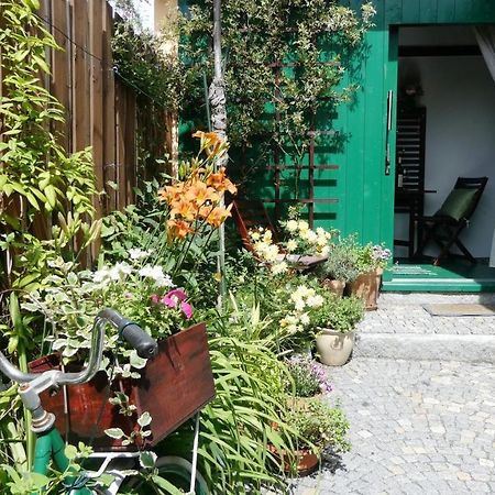 Apartmán Horšovský Týn Esterno foto